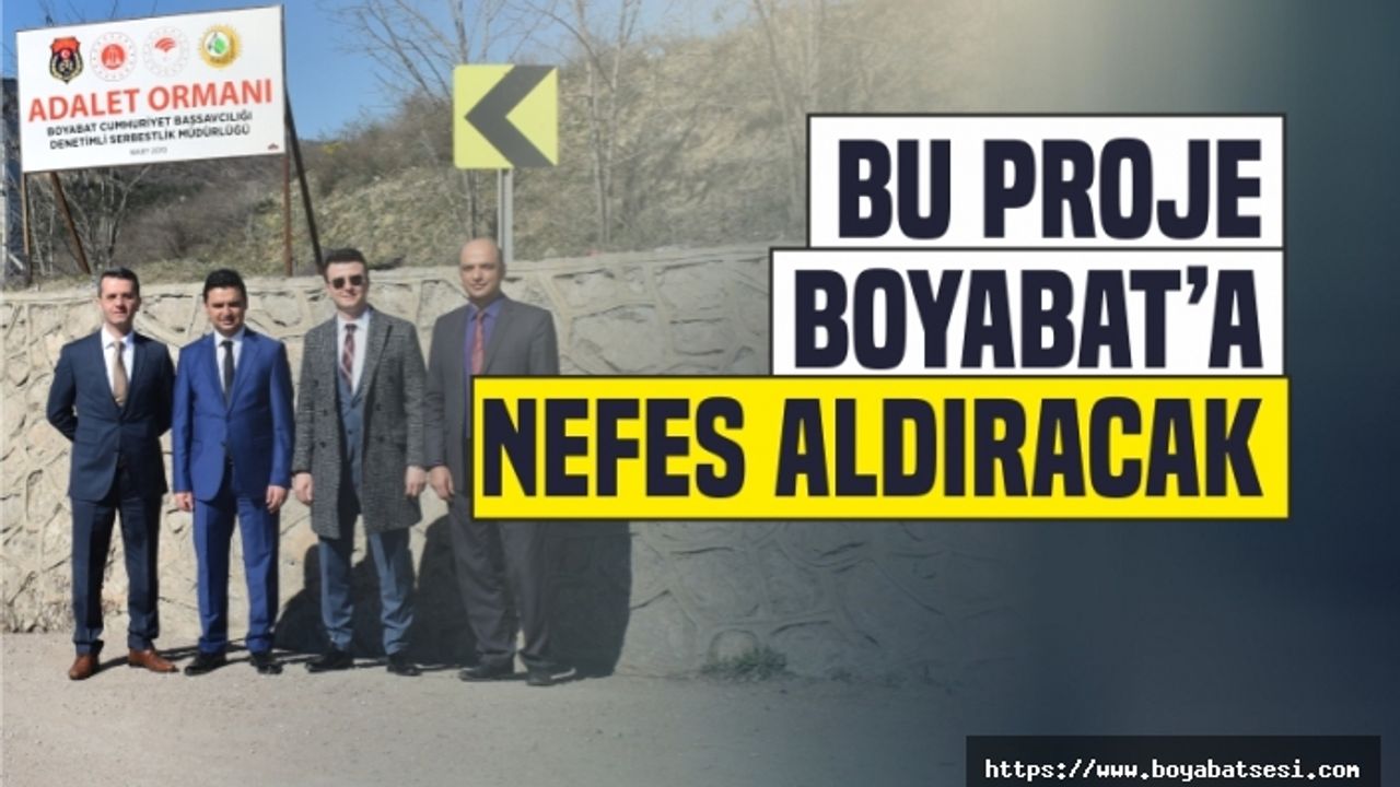 Boyabat'ta Denetimli Serbestlik Hükümlüleri Fidan Dikti 