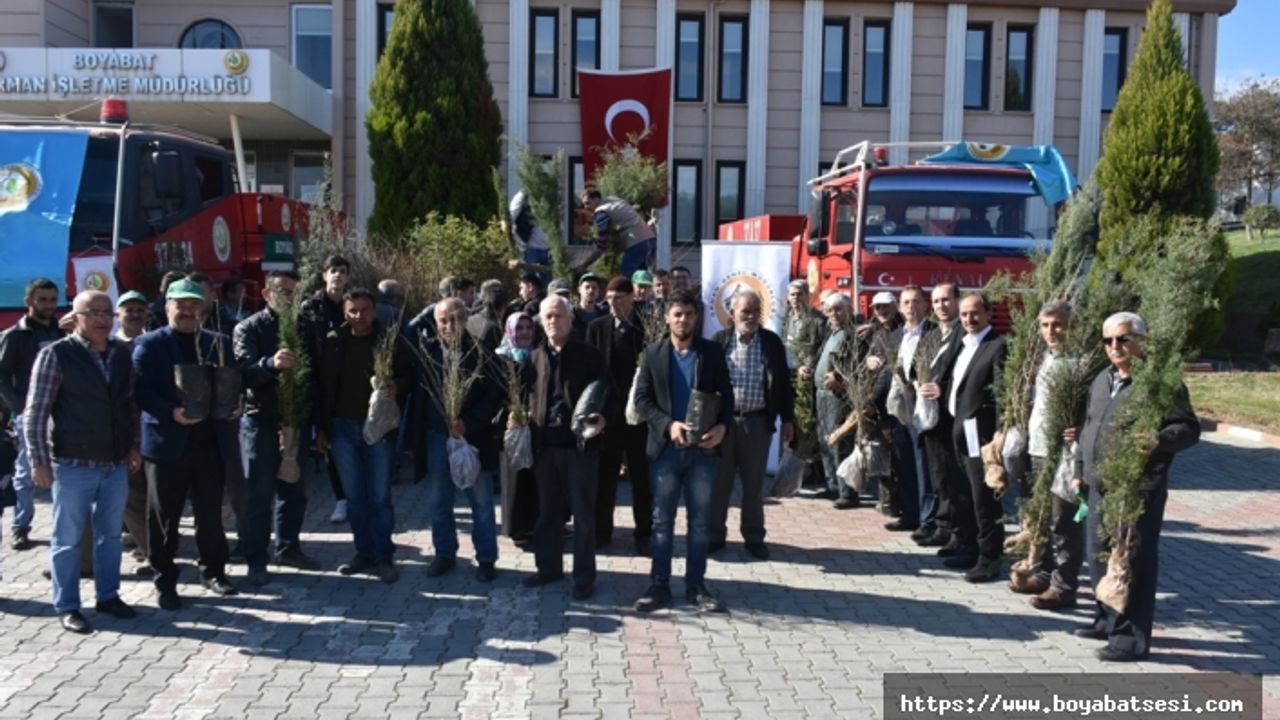Boyabat'ta Vatandaşlara 16 Bin 5 Yüz Fidan Dağıtıldı 