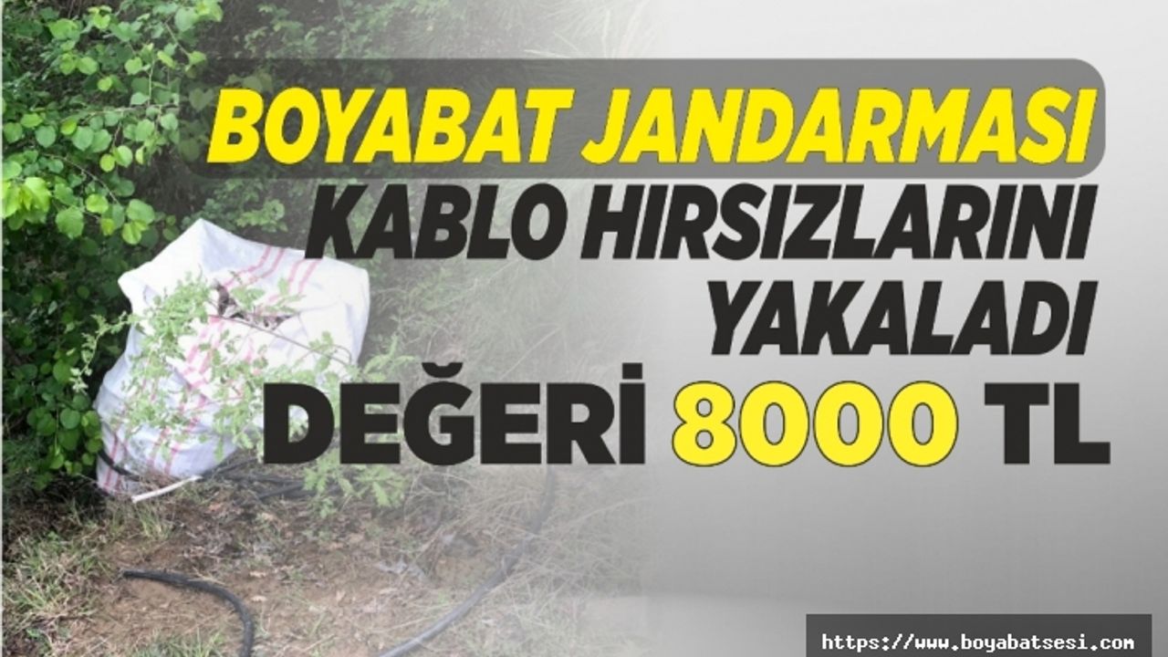 Boyabat'ta Kablo Hırsızları Kıskıvrak Yakalandı