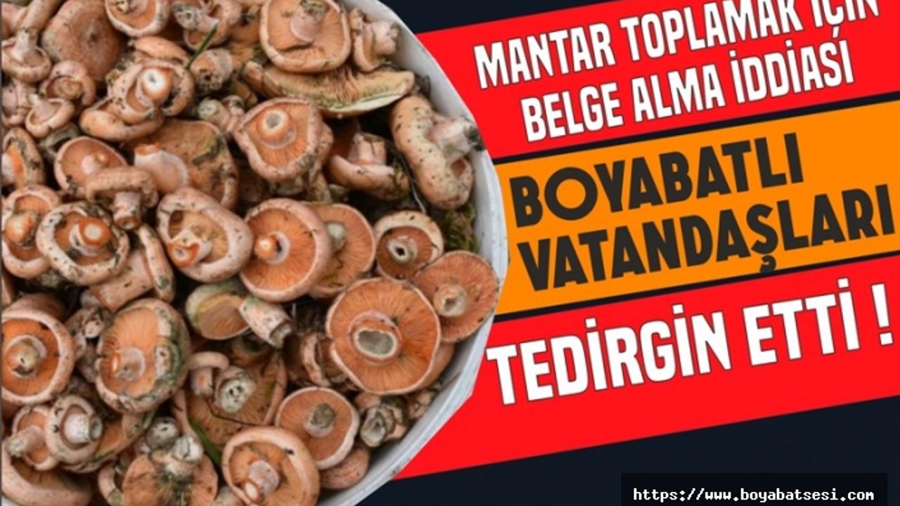 Mantar Toplayanlara Kötü Haber,Belgesi Olmayan Toplayamayacak !