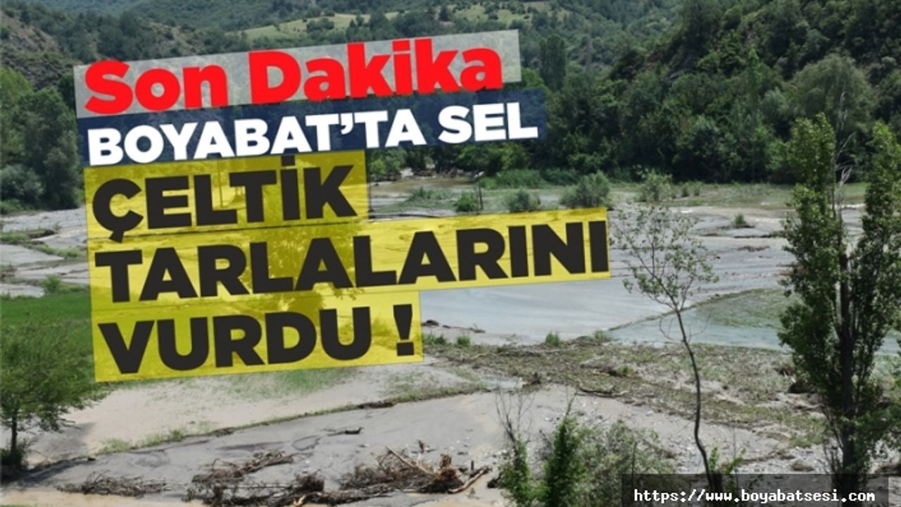 Boyabat'ta Sel Çeltik Tarlalarını Vurdu