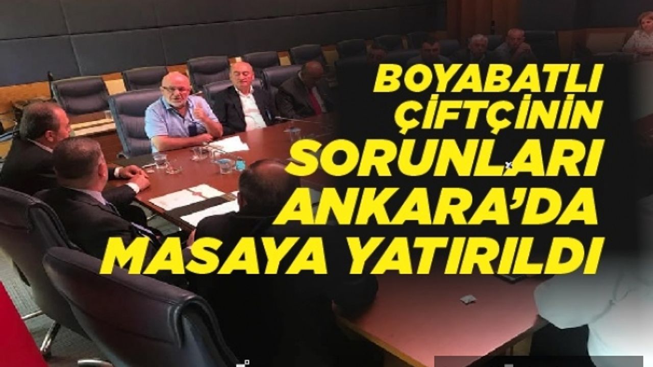 Boyabatlı Çiftçilerin Sorunları Ankara'da Masaya Yatırıldı