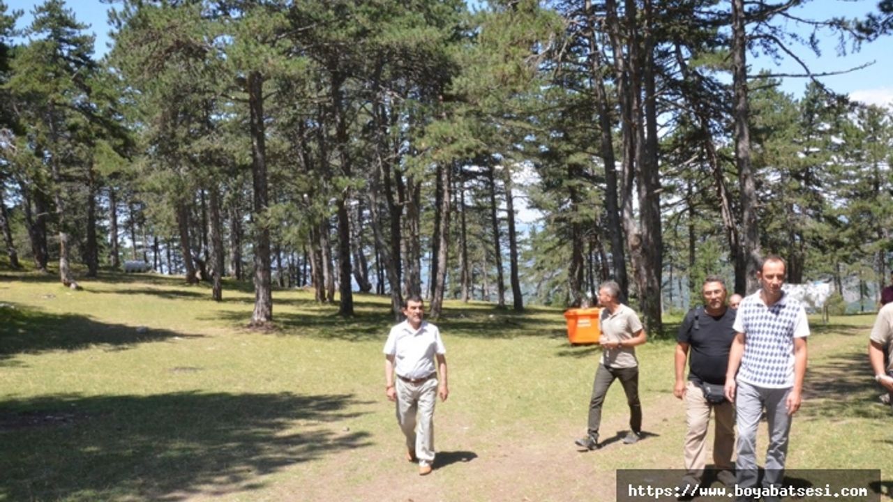 Buzluk Yaylası Tabiat Parkı Oluyor