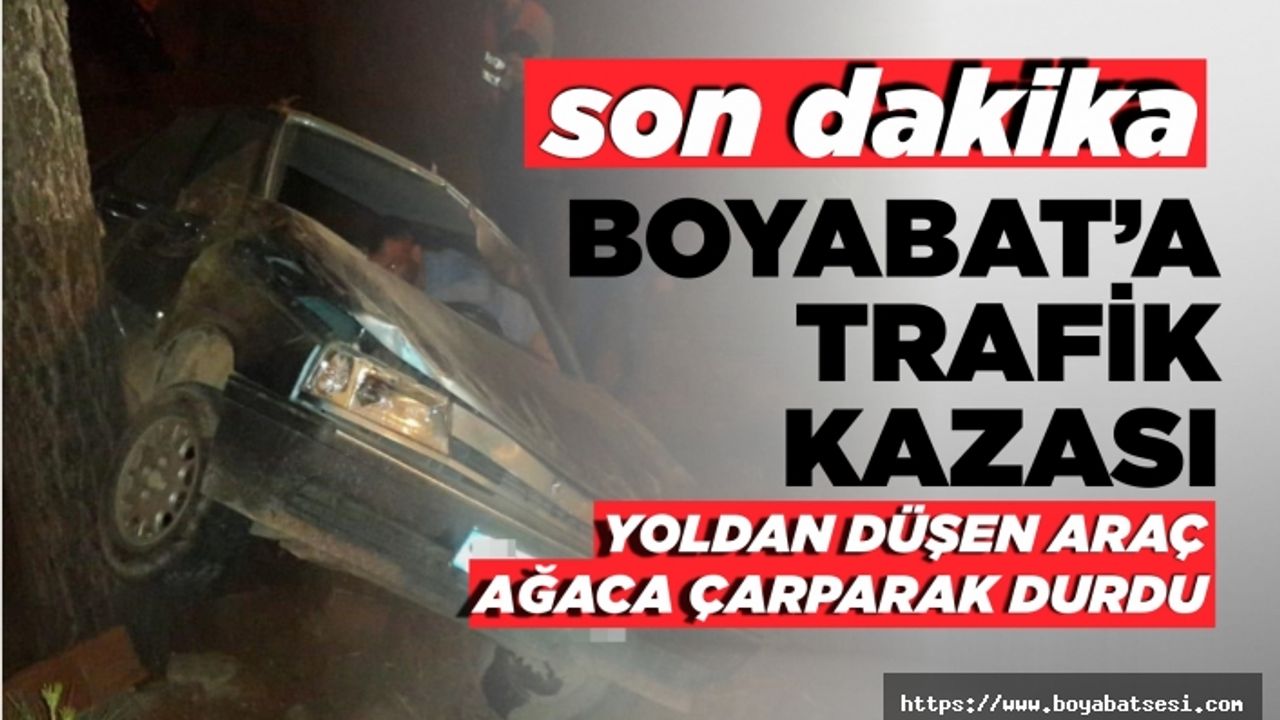 Yoldan çıkan araç ağaca çarparak durabildi 2 yaralı