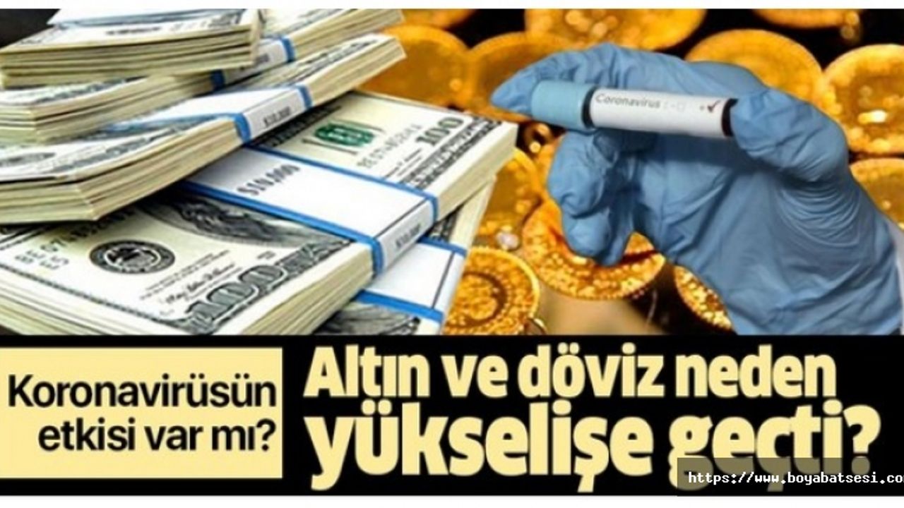 Altın ve döviz neden yükseliyor? Koronavirüsün etkisi var mı?