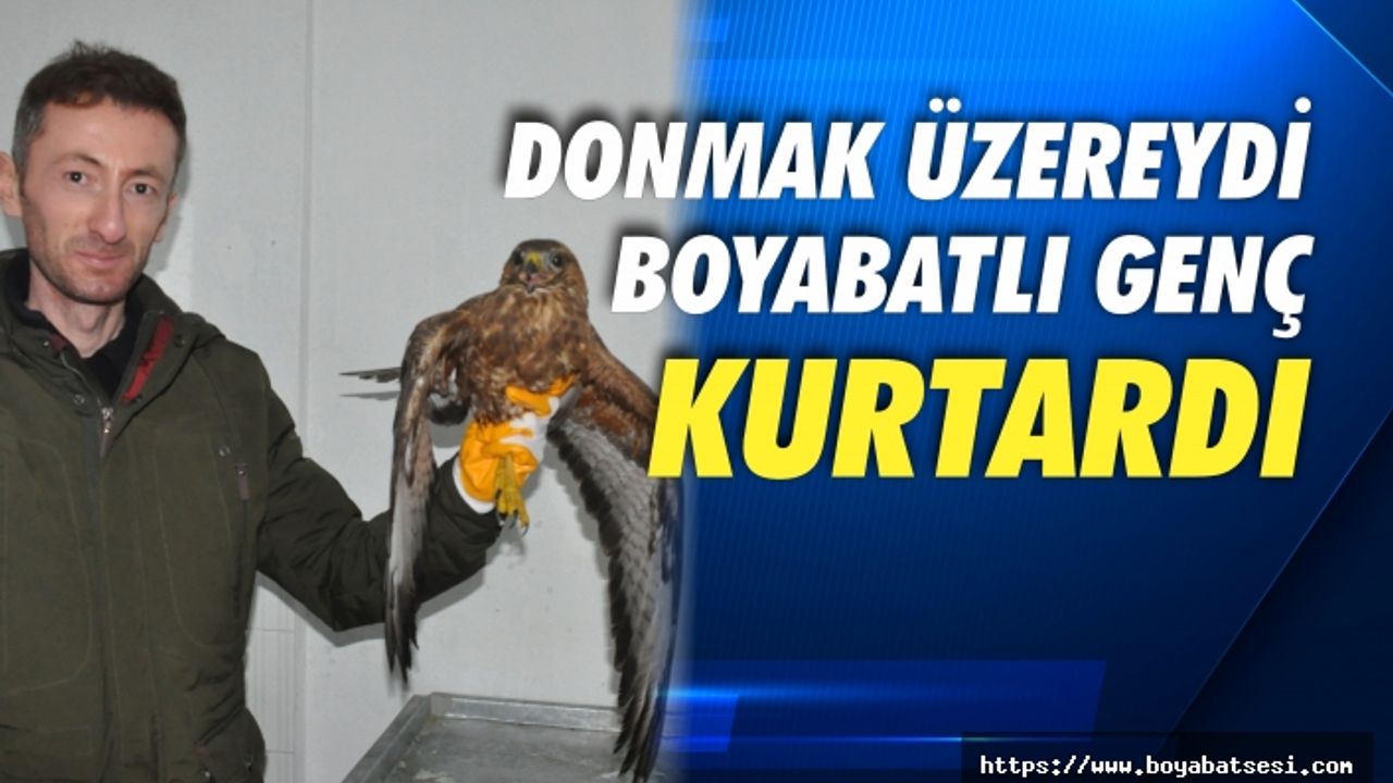 Boyabatlı vatandaş yaralı şahine sahip çıktı