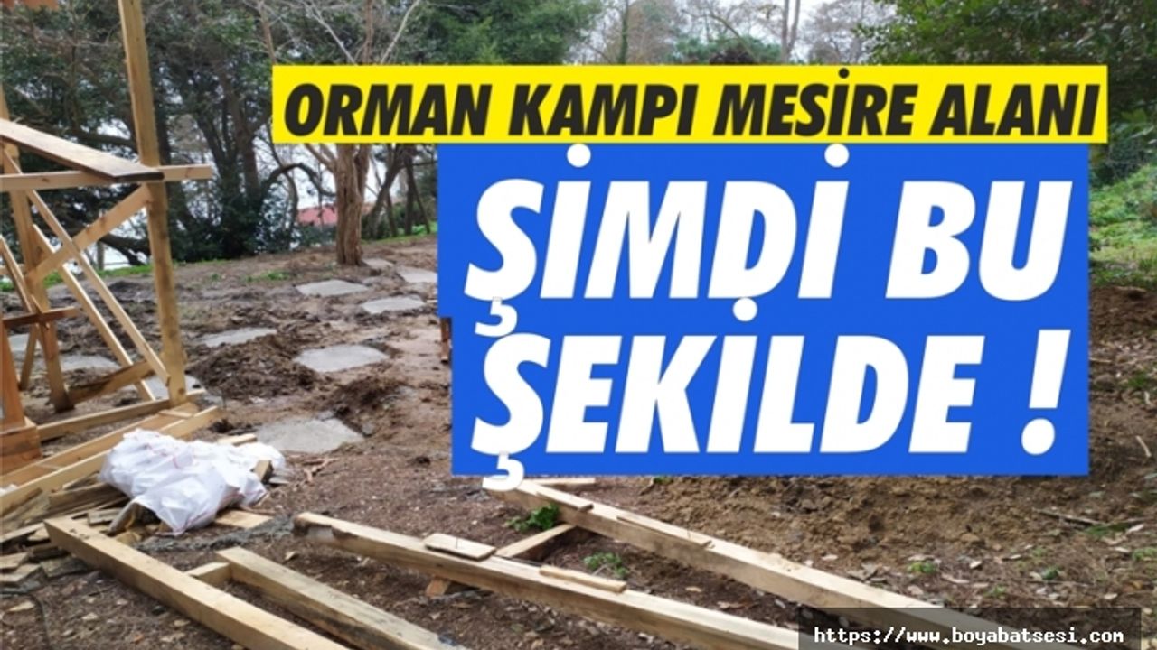 Orman Kampı'nda ahşap evlere tepki