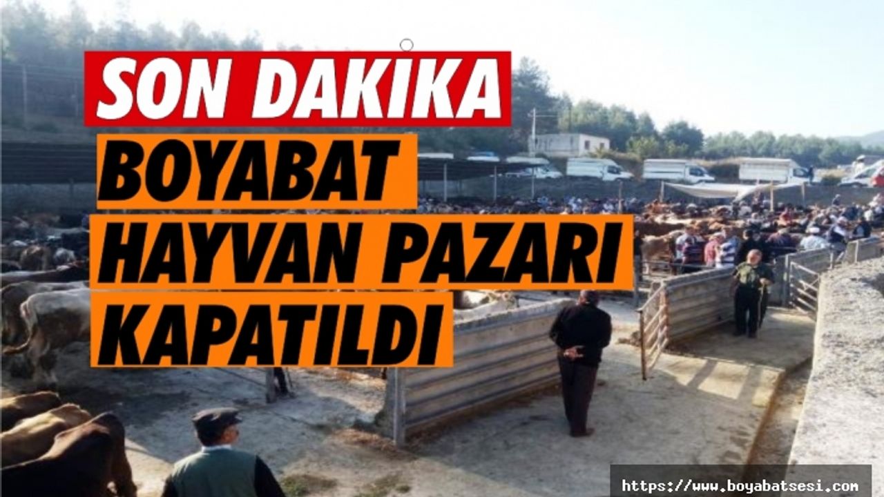 Boyabat Hayvan Pazarı Hastalık Sebebiyle Kapatıldı