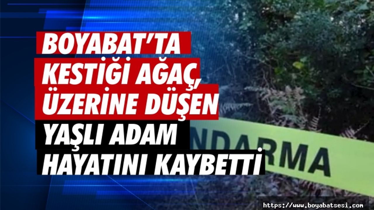 Boyabat'ta ağaç keserken talihsiz bir kaza geçiren Recep Bostancı hayatını kaybetti