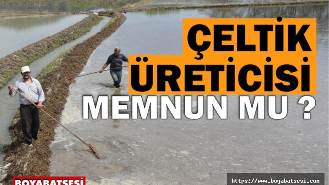 Boyabat'ta çeltik üreticisi memnun mu ?