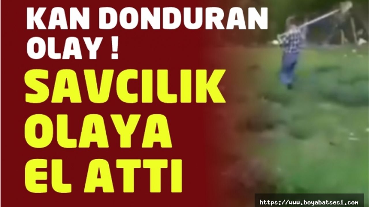 Durağan'da kan donduran olay ! Köpeğine kürekle eziyet etti