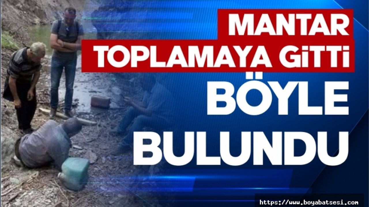 Mantar toplamaya gitti bu halde bulundu !