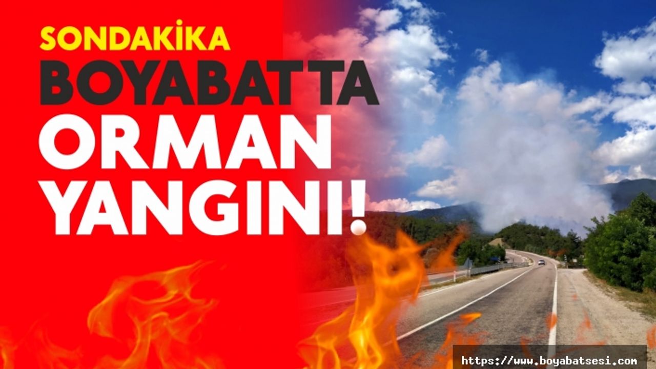 BOYABAT KOÇAK KÖYÜNDE ORMAN YANGINI