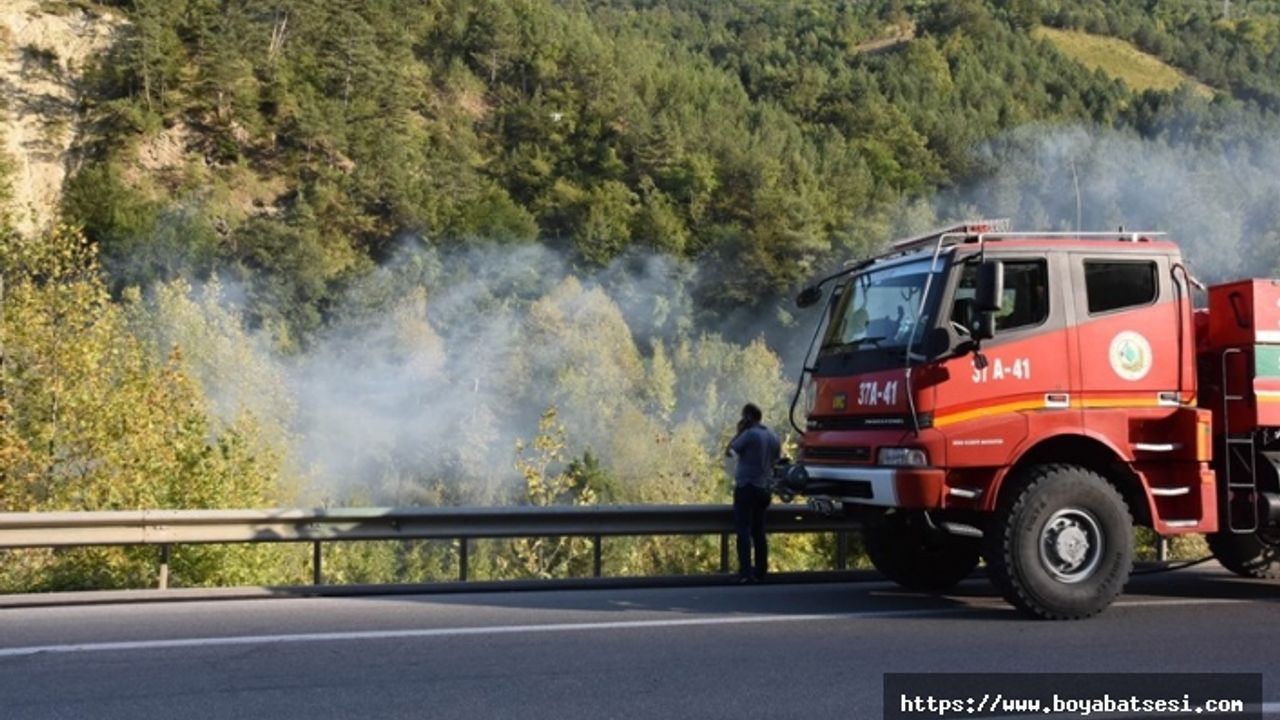 Sinop Boyabat yolunda orman yangını  