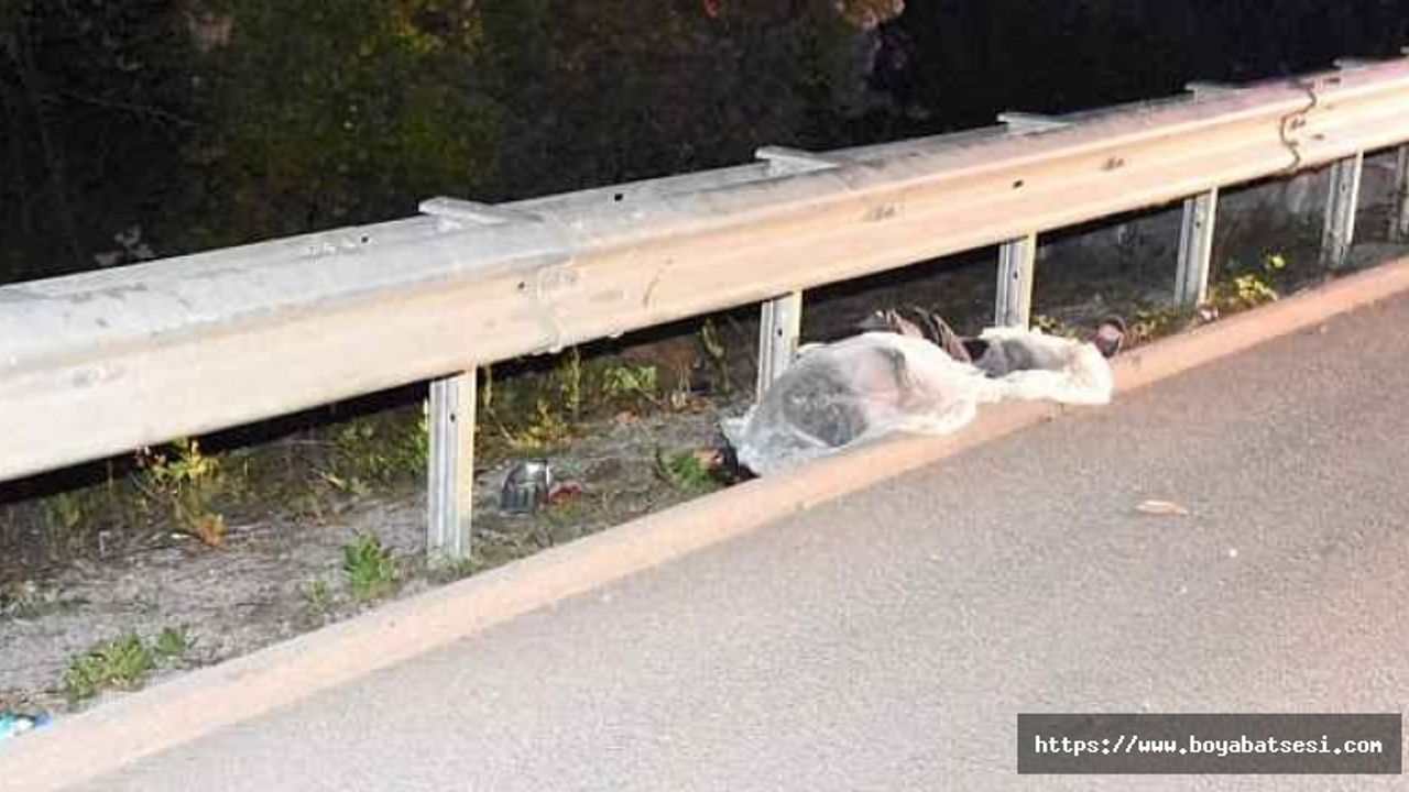 Boyabat Sinop yolunda trafik kazası 1 kişi hayatını kaybetti