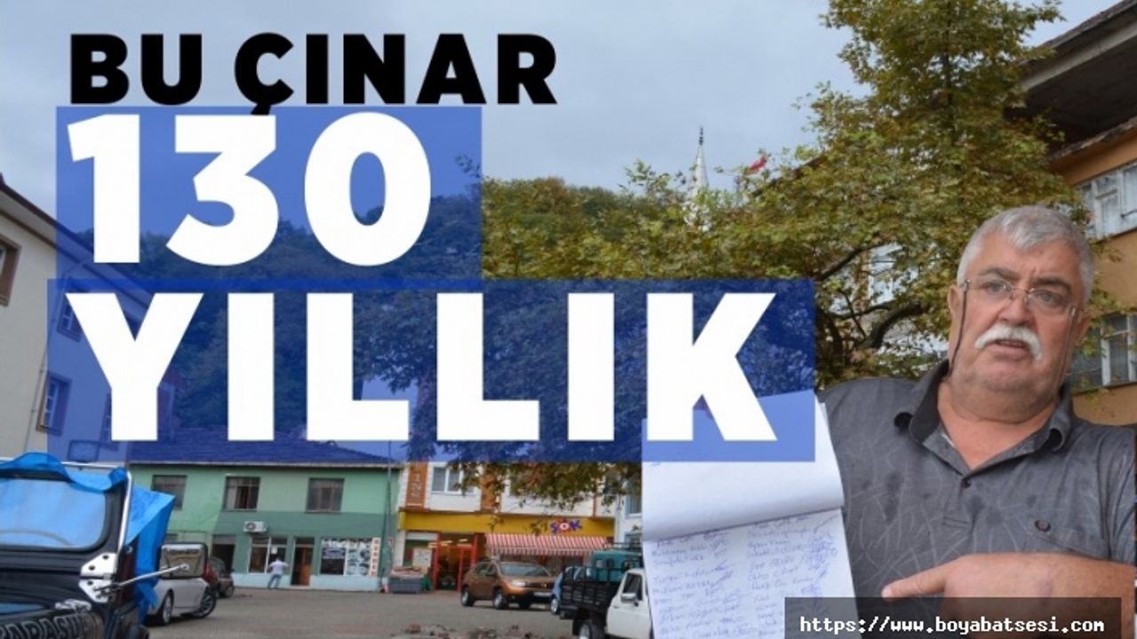 Gazi dedesinin diktiği çınarı yıktırmamak için imza kampanyası başlattı  