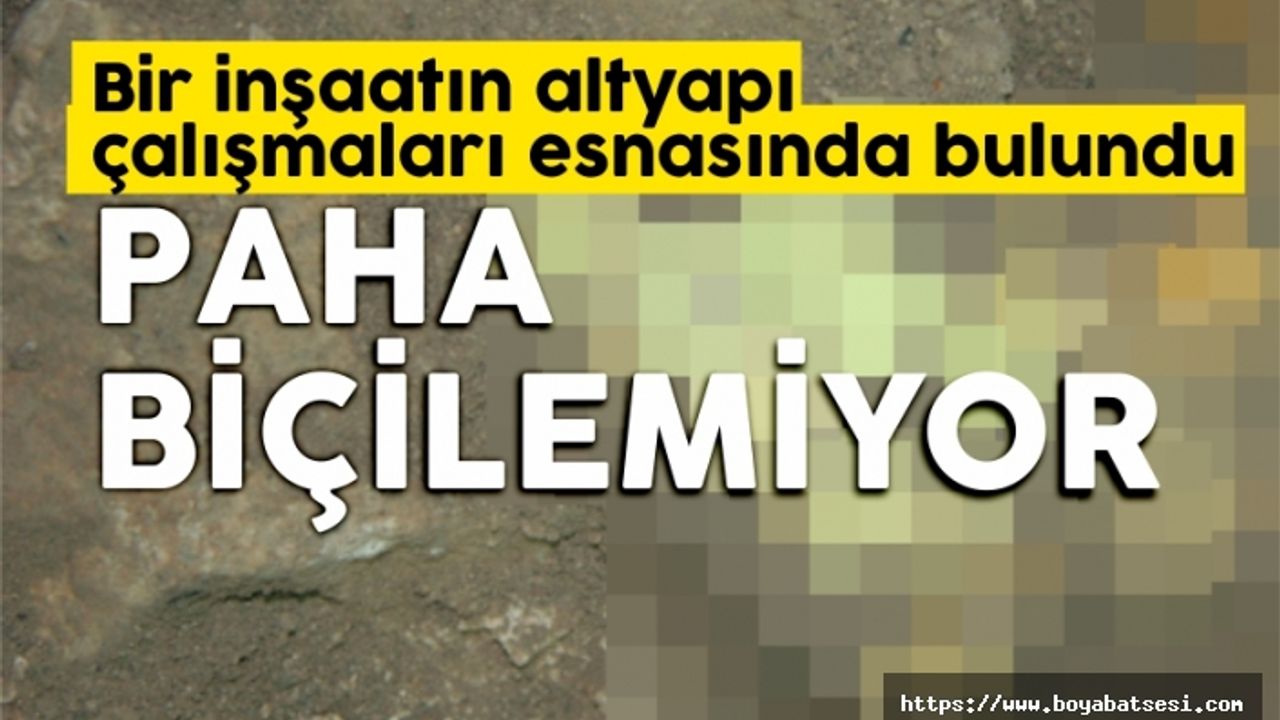 İş makinesine takıldı şimdi paha biçilemiyor