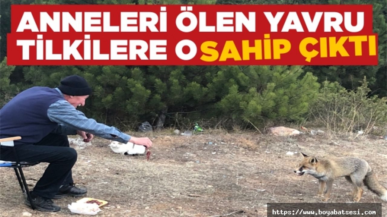Her gün 1 kilo ciğer 1 kilo da tavuk kanadı ile ormanın yolunu tutuyor