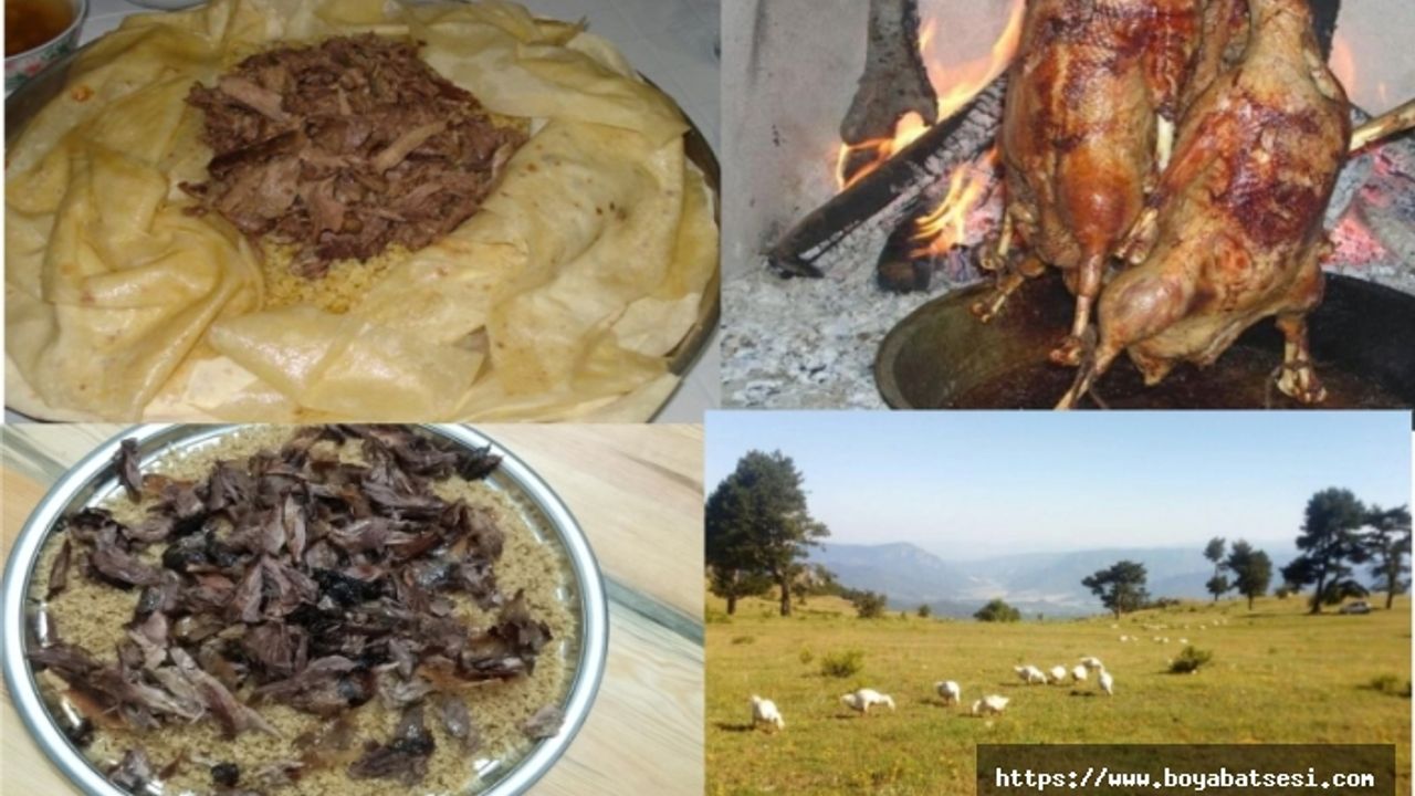 Kaz Tiridi Durağan Doğal Yaşam Merkezi Kalfet Konağında