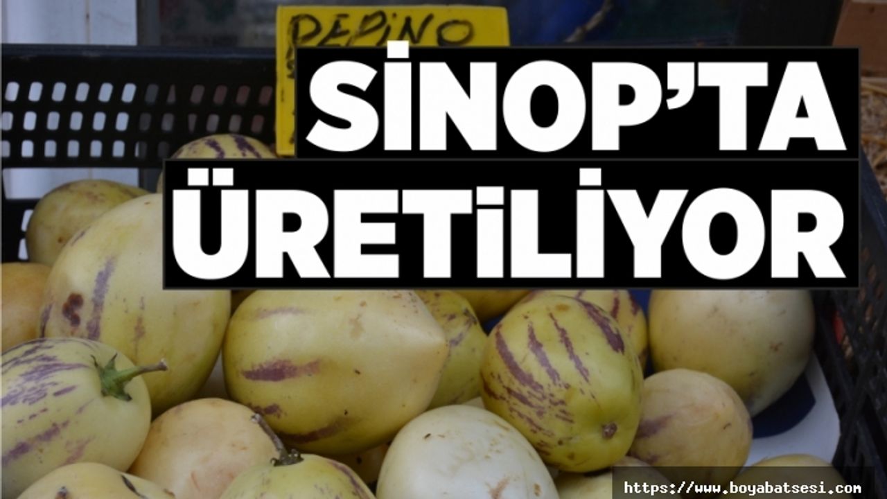 Şeker hastalığı,kemik erimesi birçok hastalığa iyi geliyor  