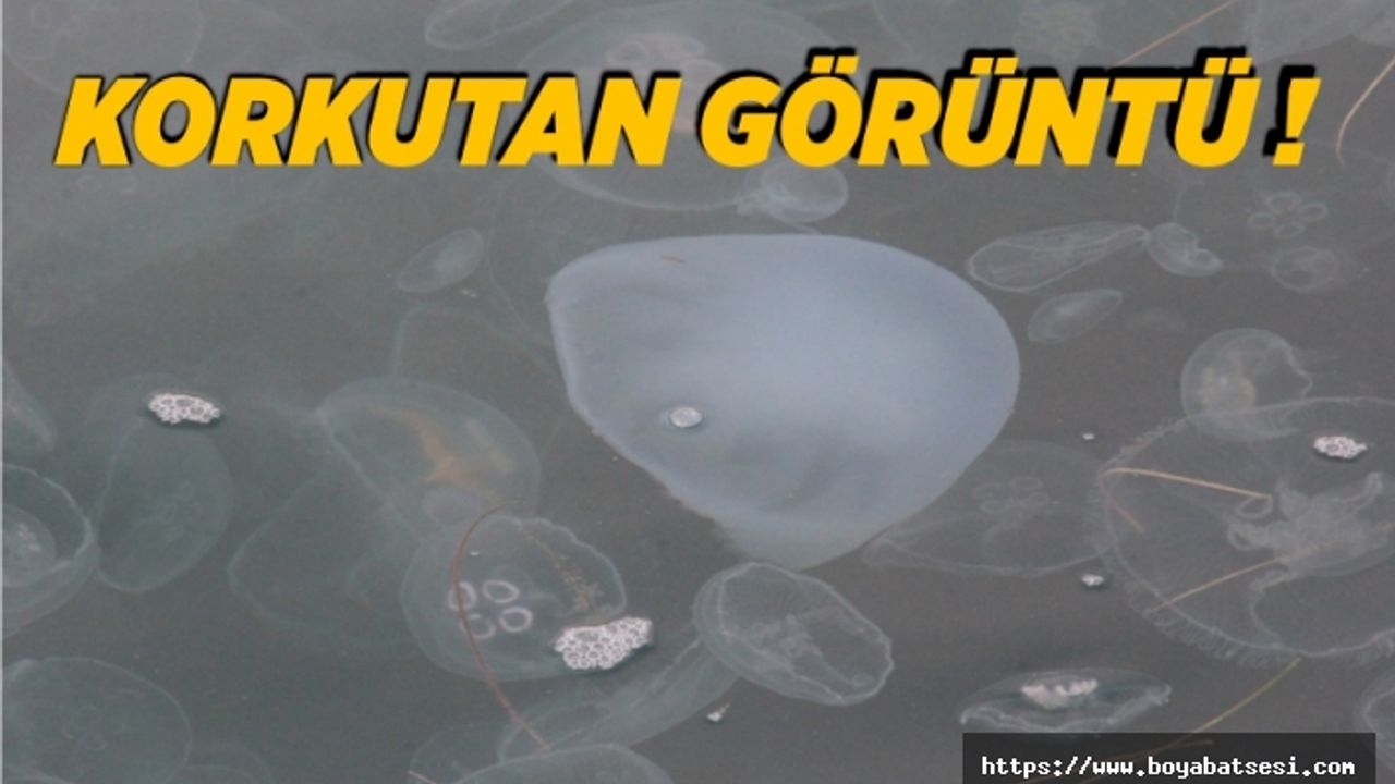 Sinop'ta korkutan görüntü !