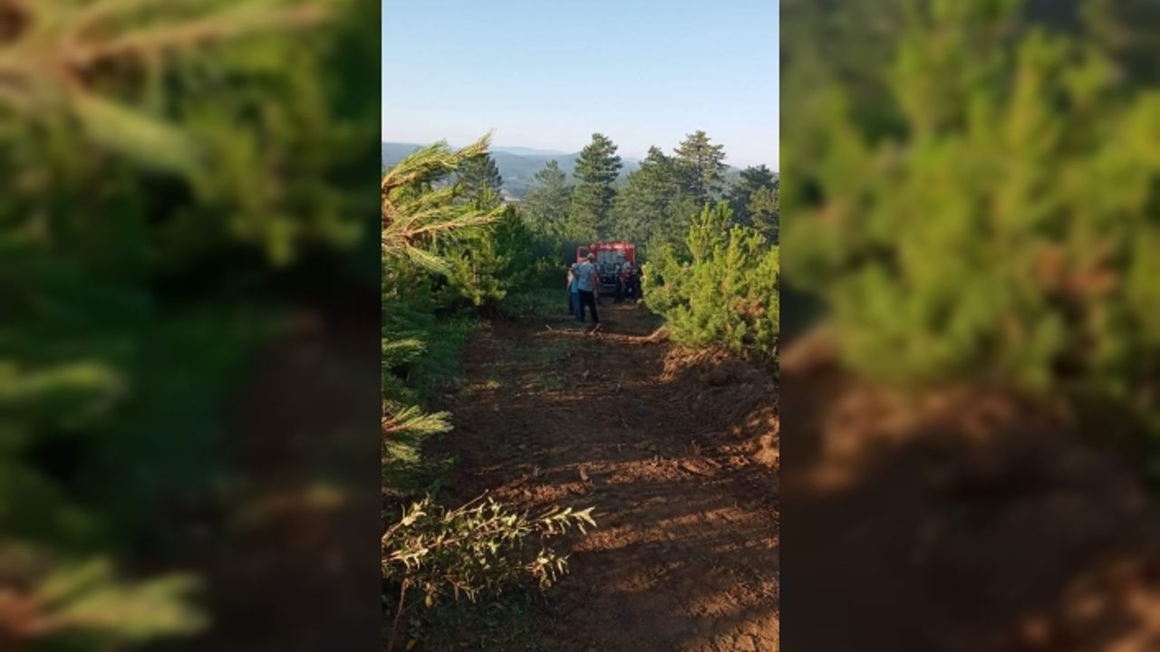 Boyabat Bürüm Köyü'nde çıkan orman yangını söndürüldü