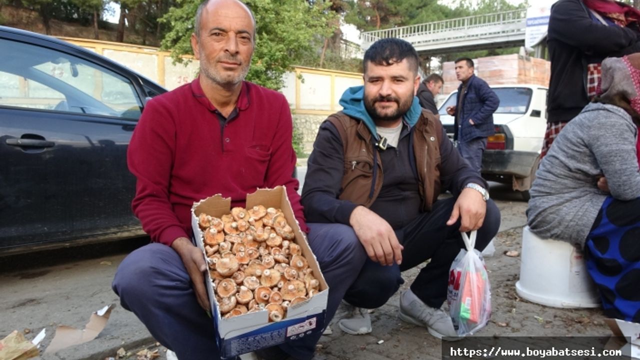 Dağlardan bin bir emekle getiriyorlar, kazancı dudak uçuklatıyor