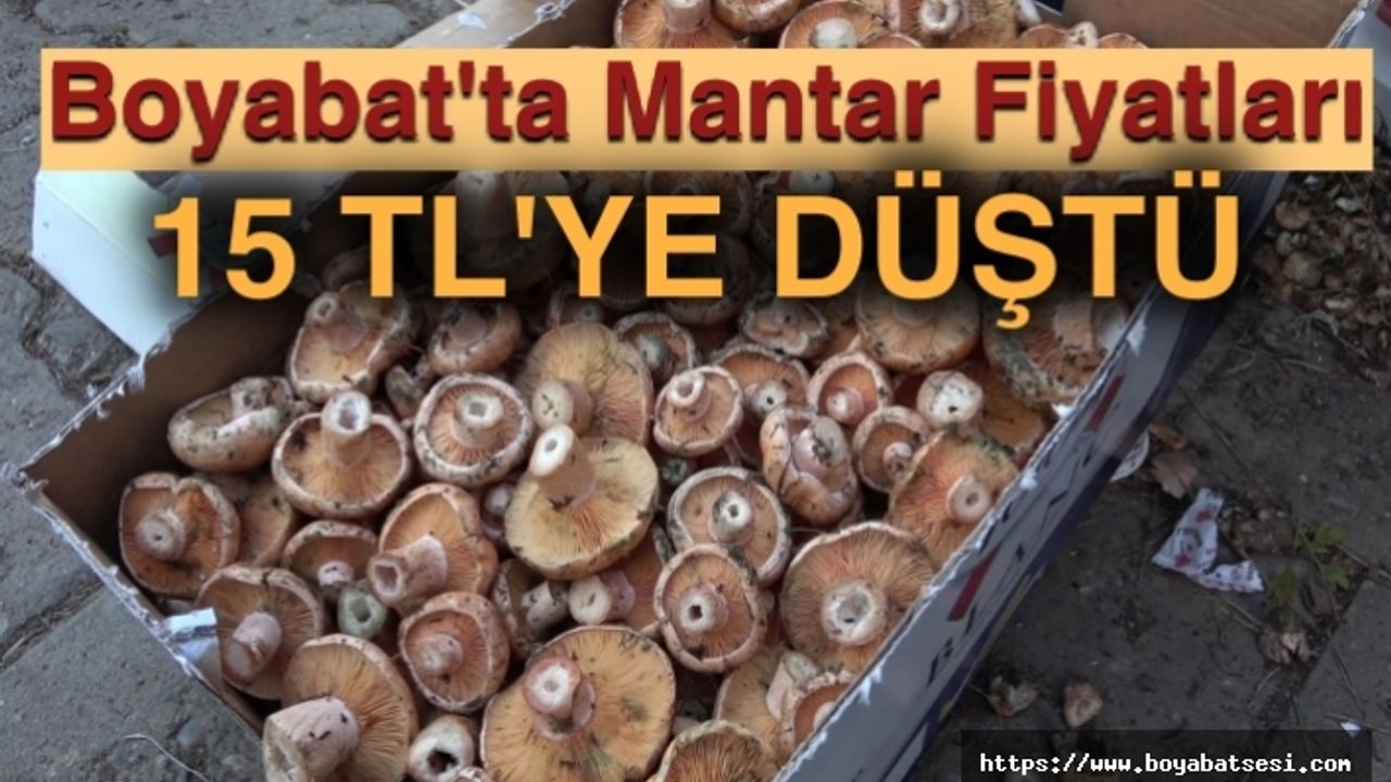 Kasaplarda işlerin durmasına yol açan mantarın fiyatı 15 TL’ye düştü 