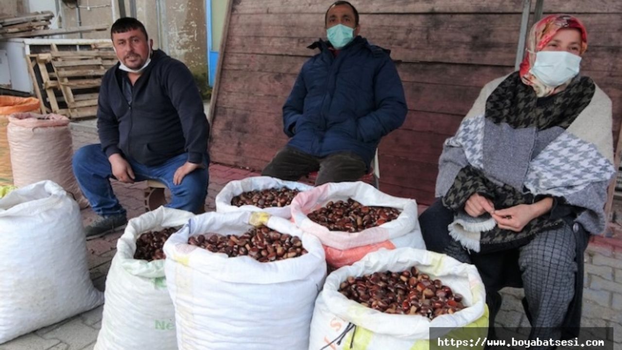 Kestanede şaşırtan fiyat farkı: Üreticide 5-10 TL şehirde 35-40 TL