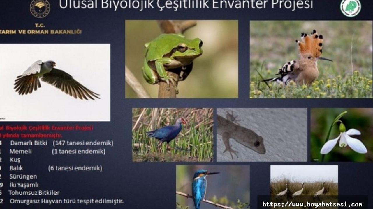 154 endemik bitki ve hayvan türü tespit edildi