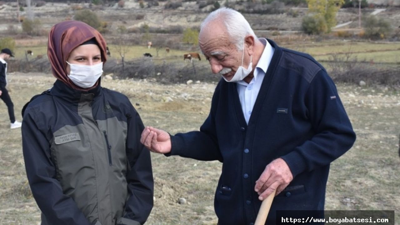 Boyabatlı Hikmet Şef o ormanın hikayesini anlattı