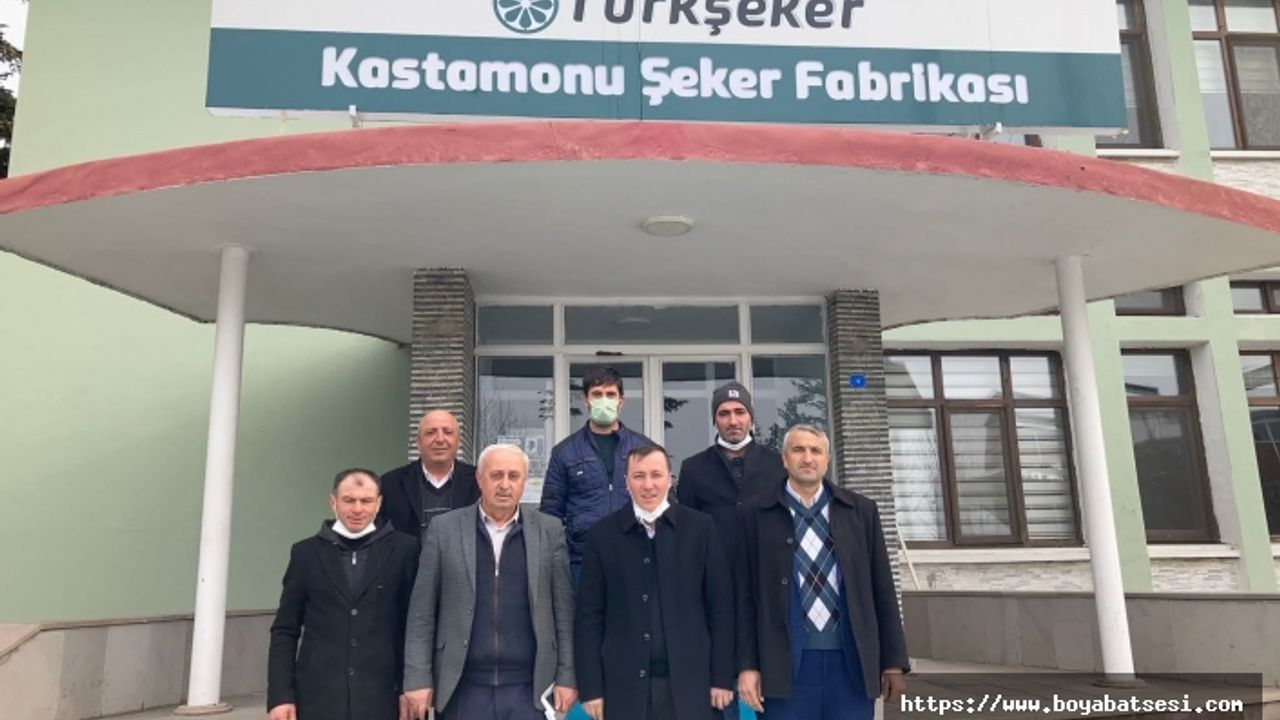 Boyabat'ta pancar ekimi başlıyor