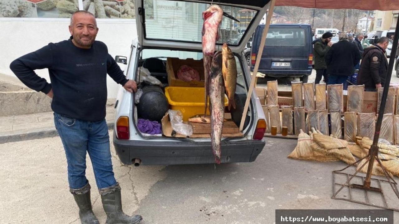 Boyabat'ta 1 metrelik yayın balığı ilgi odağı oldu