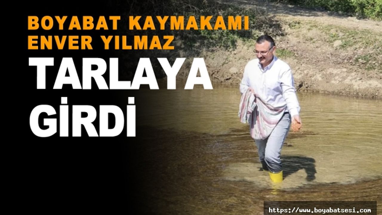 Boyabat Kaymakamı Enver Yılmaz çeltik ekimine katıldı