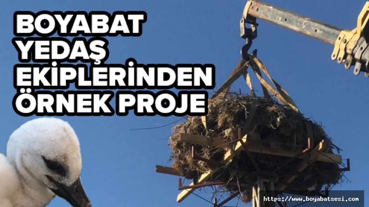 Boyabat Yedaş ekipleri direğe leylekler için özel yuva yaptı