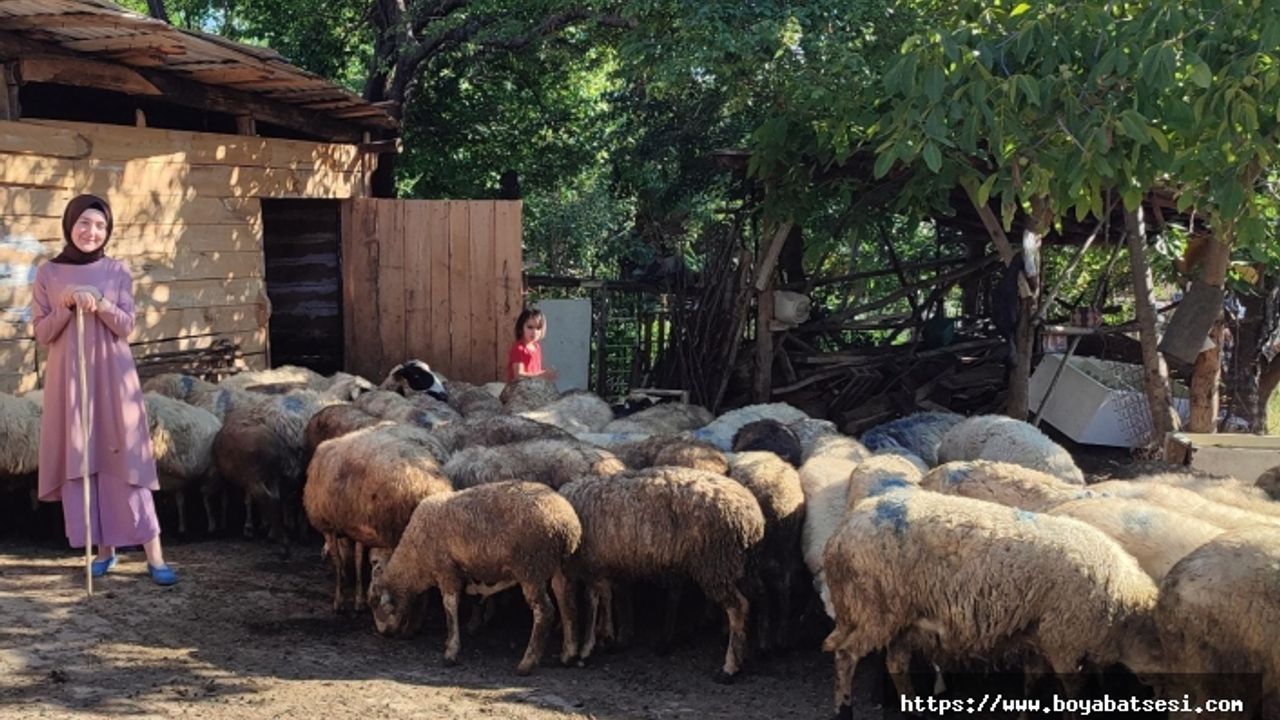 Boyabat'ta Uzman Eller Projesi başarı ile tamamlandı