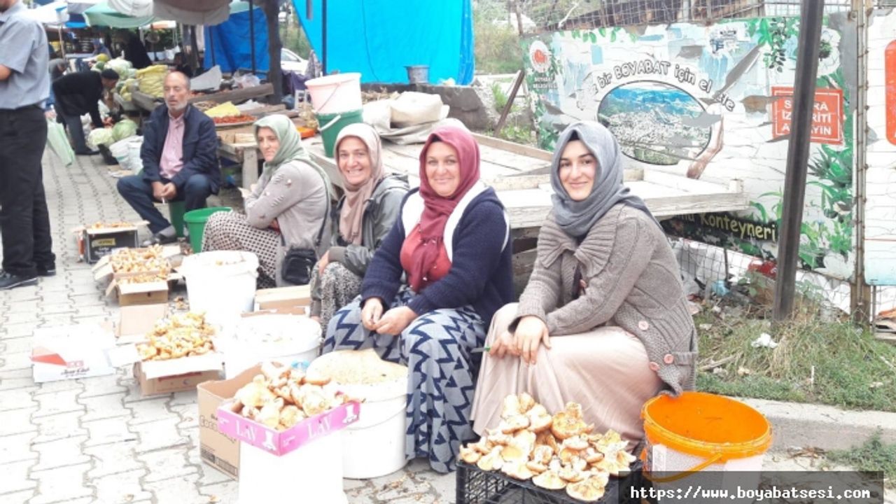 Boyabat'ta yılın ilk mantarları pazara indi