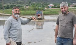 Boyabat Sesi Çeltik Tarlasında üreticilerle konuştu