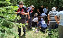 Boyabat Yayla Şenliğinde acı olay bir kişi hayatını kaybetti !