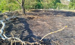 Boyabat Kalebağı'nda yangın : Kovalarla su taşıyıp yangının ormana sıçramasını önlediler