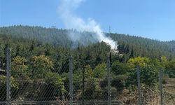 Boyabat Stadyumu üstünde bulunan ormanlık alanda korkutan yangın !