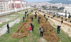 Boyabat'ta 510 fidan toprakla buluşturuldu