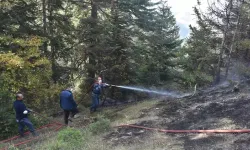Boyabat'ta ormanlara girişiler 1 Haziran - 31 Ekim arasında yasaklandı