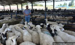 Boyabat Kurban Pazarı 1 Haziran’da Kapılarını Açıyor