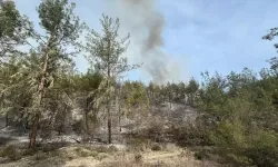 Ormanlara giriş yasağı 1 Haziranda başlayacak