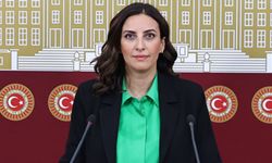 DEVA Partili Rızvanoğlu: Boyabat’ta kurulacak maden ocağını TBMM gündemine taşıdı