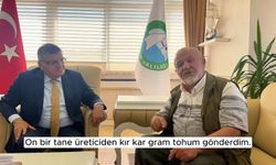 Gazidere Domatesine Sahip Çıkılıyor: Eski muhtar tescil sürecini böyle anlattı !