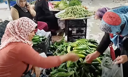 Boyabatlı Üretici Ürünlerini Satamayınca Bedava Dağıttı