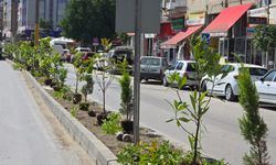 Adnan Menderes Bulvarı’na Estetik ve Güvenlik Dokunuşu