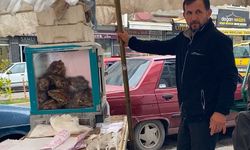Boyabat’ın Vazgeçilmez Lezzeti: Kelle Kebap